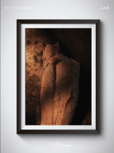 captura de pantalla 2026 02 09 a la(s) 1.16.57 p.m.